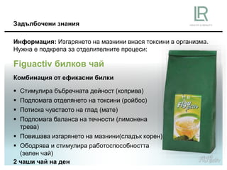 Информация: Изгарянето на мазнини внася токсини в организма.
Нужна е подкрепа за отделителните процеси:
Комбинация от ефикасни билки
 Стимулира бъбречната дейност (коприва)
 Подпомага отделянето на токсини (ройбос)
 Потиска чувството на глад (мате)
 Подпомага баланса на течности (лимонена
трева)
 Повишава изгарянето на мазнини(сладък корен)
 Ободрява и стимулира работоспособността
(зелен чай)
Задълбочени знания
Figuactiv билков чай
2 чаши чай на ден
 