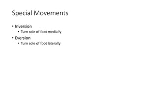 Body Movement.pptx