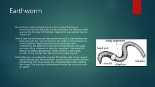 Body movements | PPTX