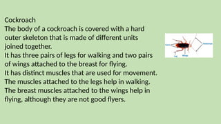 Body Movements PPT science class 6 cbse | PPTX