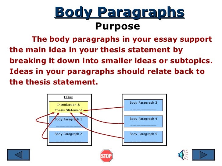 Body paragraphs