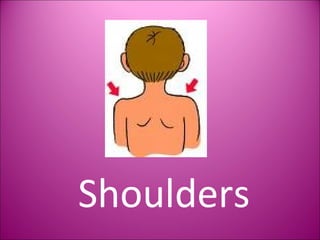 Shoulders 