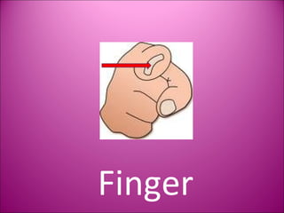 Finger 
