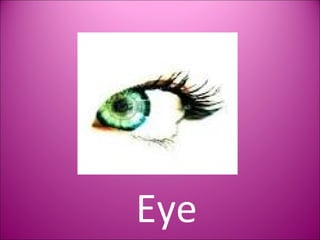Eye 