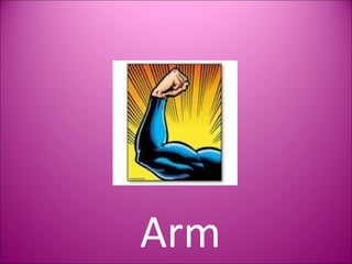 Arm 