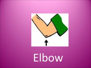 Elbow 