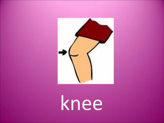 knee 