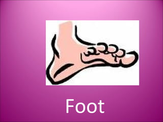 Foot 