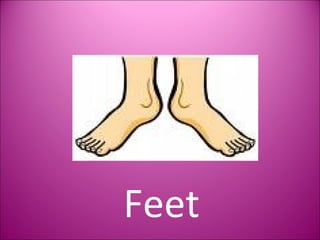 Feet 