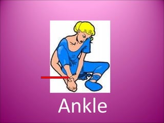 Ankle 