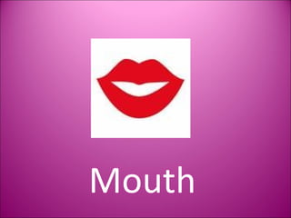 Mouth 