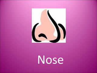 Nose 