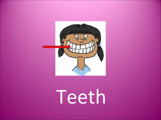 Teeth 