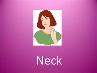 Neck 