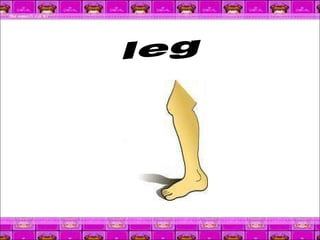 leg 
