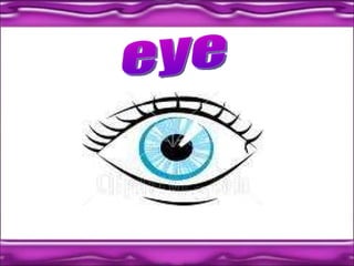 eye 