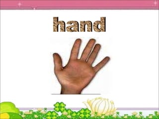 hand 