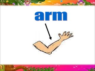 arm 