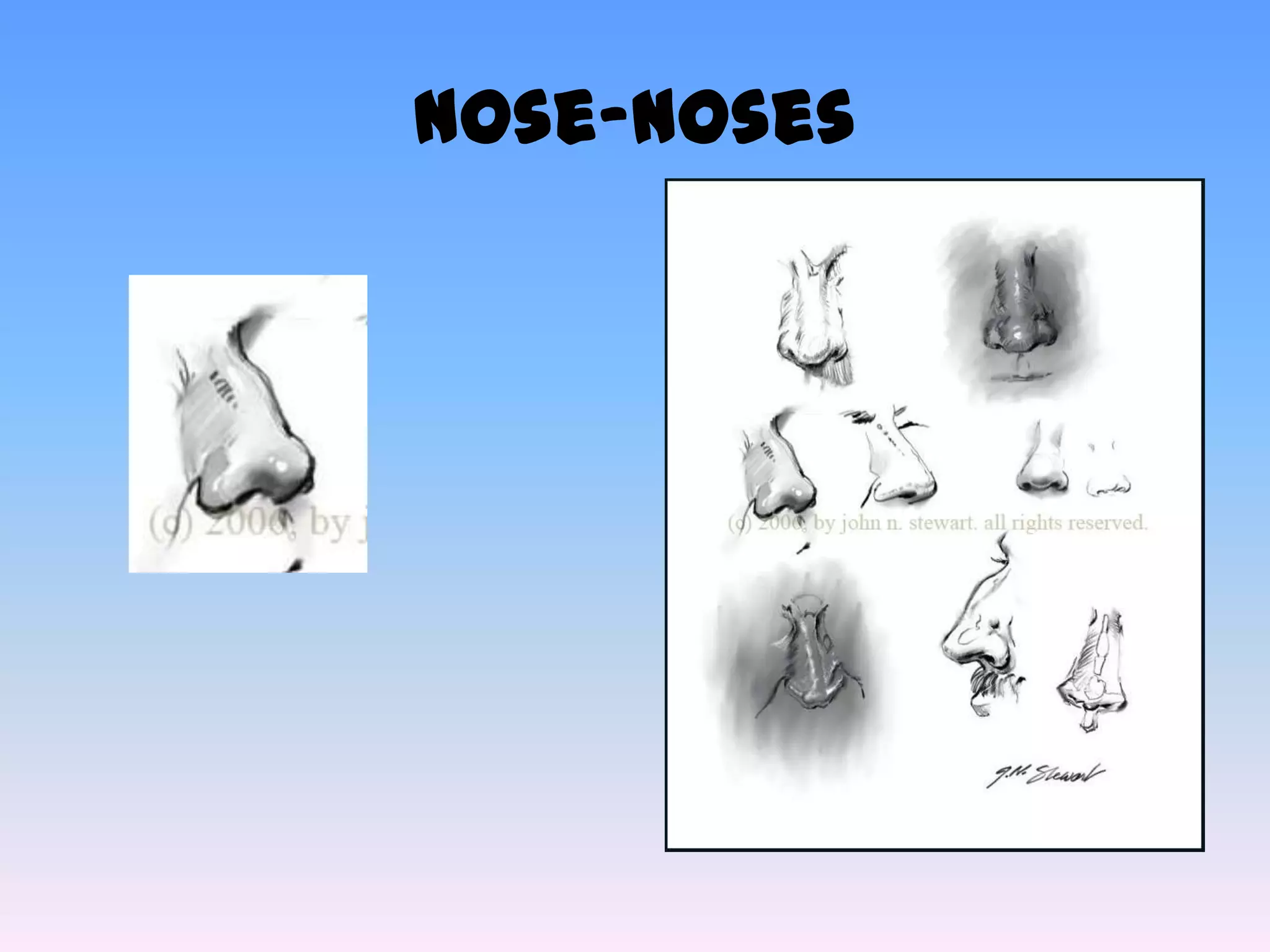 Nose-Noses