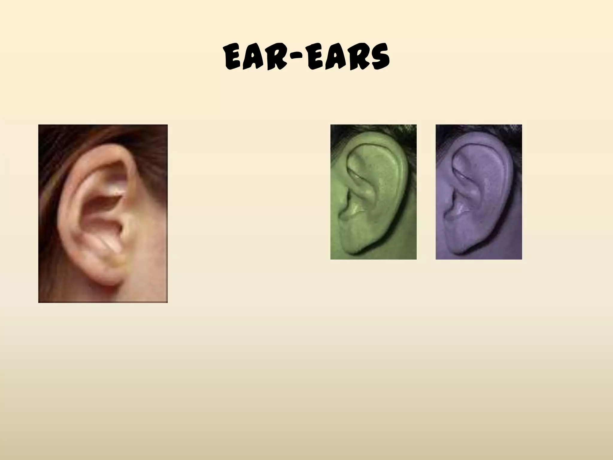 Ear-Ears