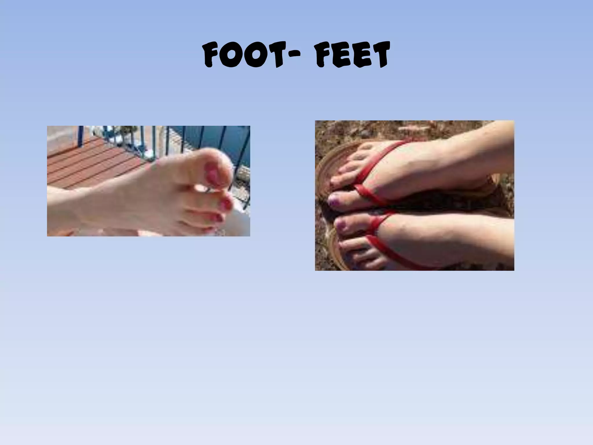 Foot- Feet