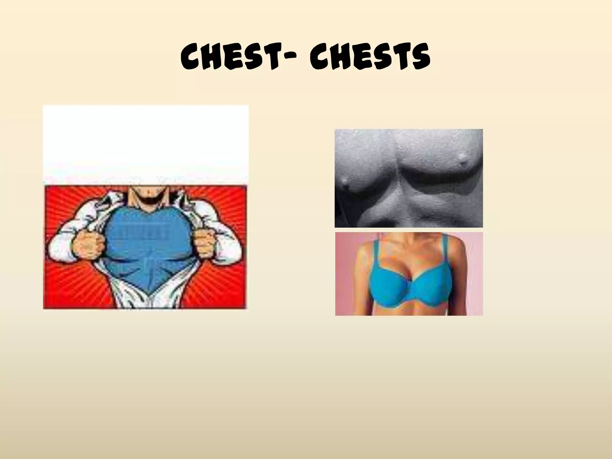 Chest- Chests