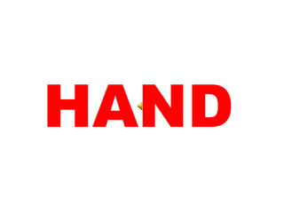 HAND 
 