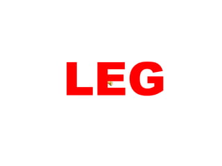 LEG 
 