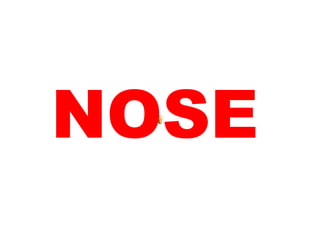 NOSE 
 