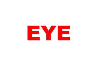 EYE 
 