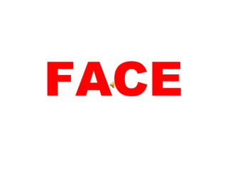 FACE 
 