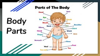 Body
Parts
 