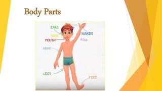 Body Parts
 