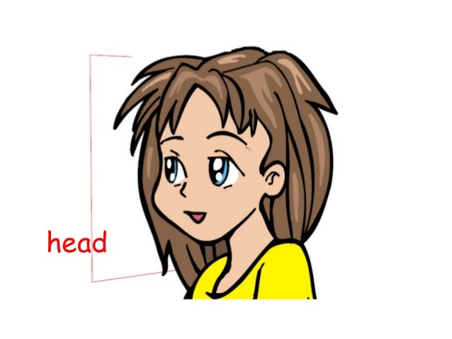 Body Parts Flashcards