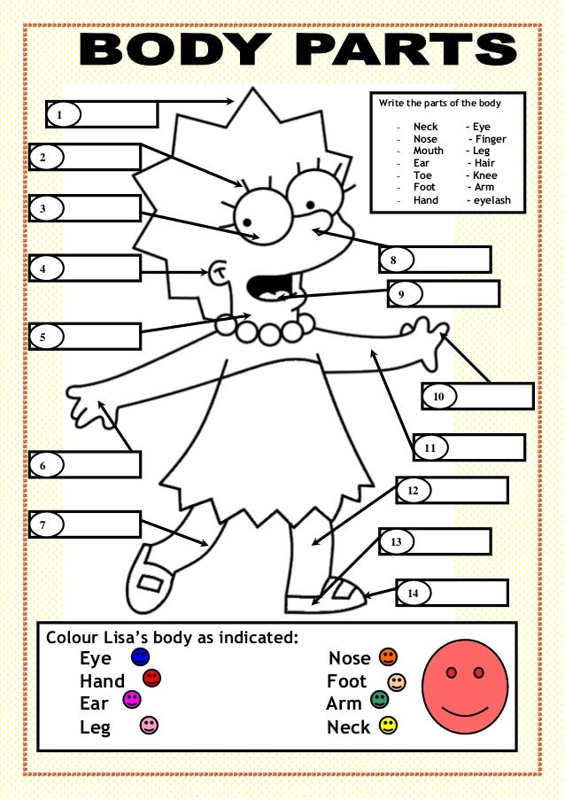 Body parts - Lisa Body parts - Lisa
