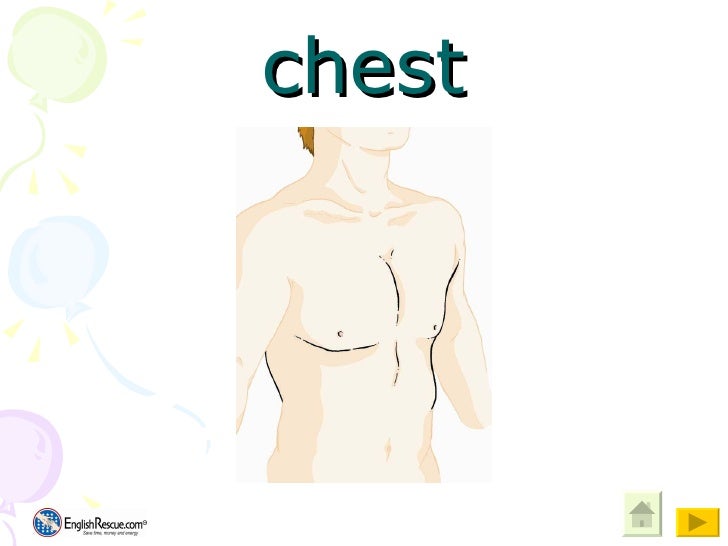 FEB Ersatzteil Für Mercedes-Benz - Stahl Elastomer Teil 2019880511