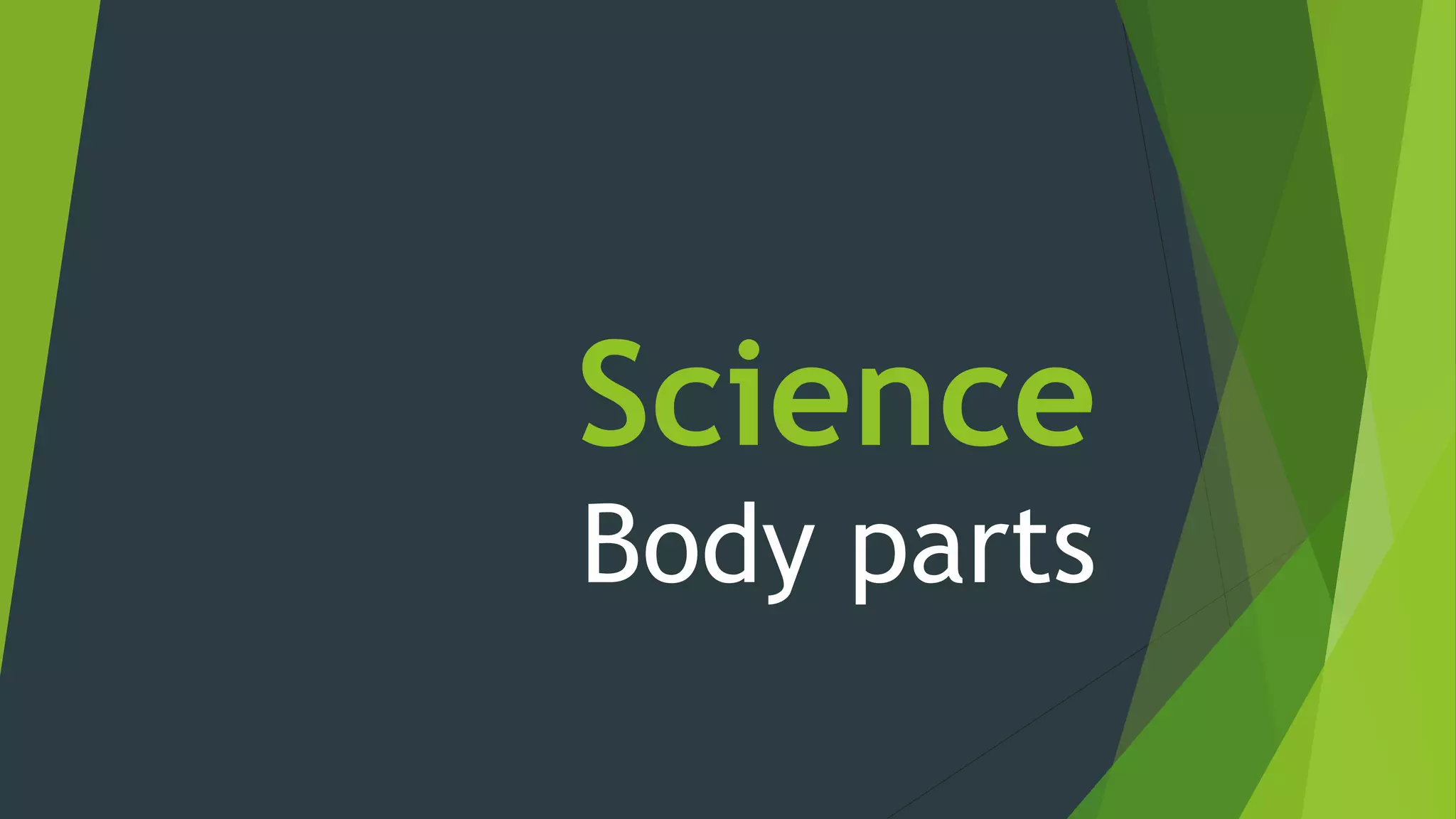 Body Parts Activity Pptx