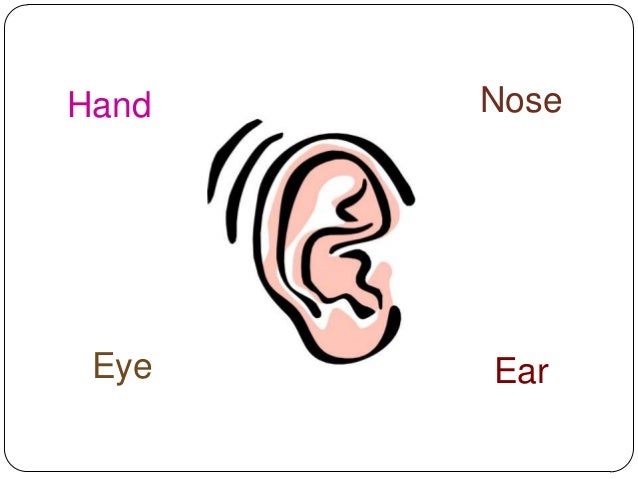 Kids Health Info : Hand foot and mouth disease - coxsackie ...