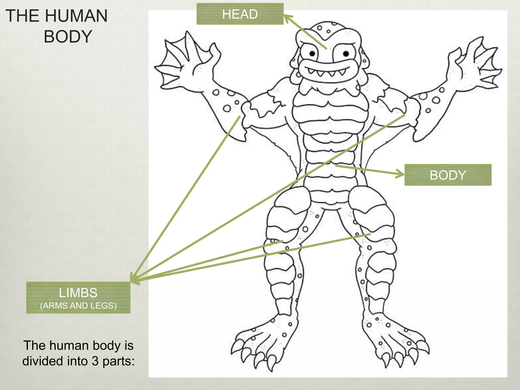 Body parts and joints | PPTX