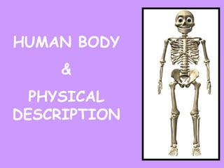HUMAN BODY & PHYSICAL DESCRIPTION 
