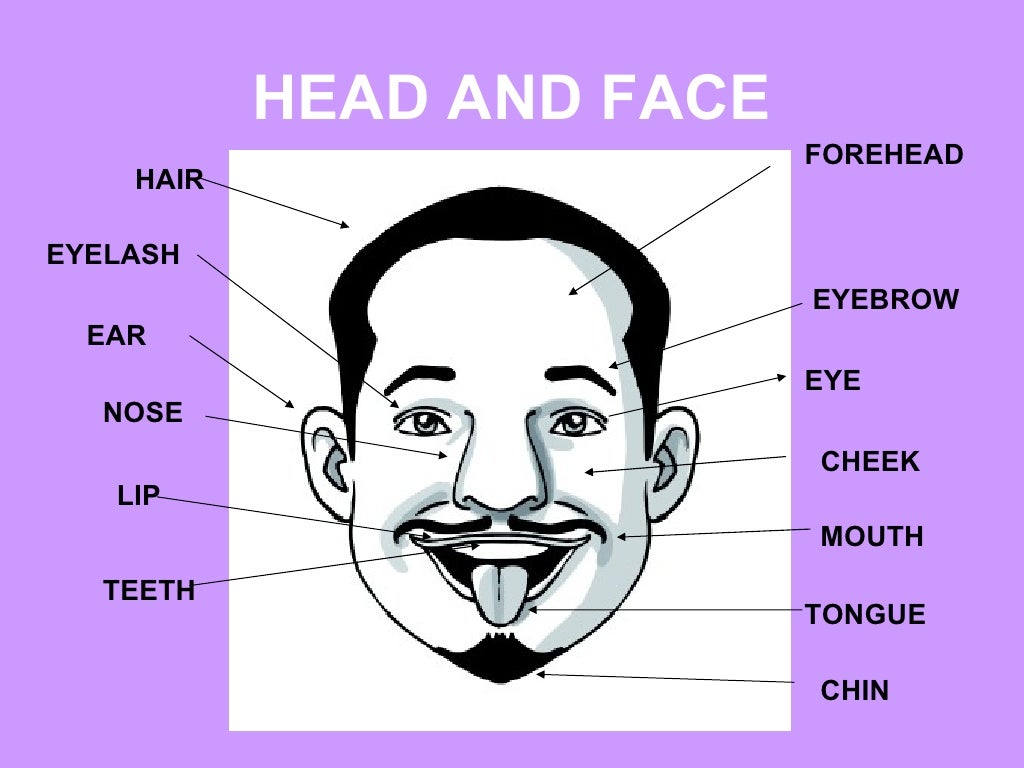 Body parts and physical appearance