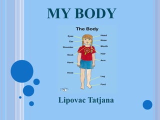 MY BODY

Lipovac Tatjana

 