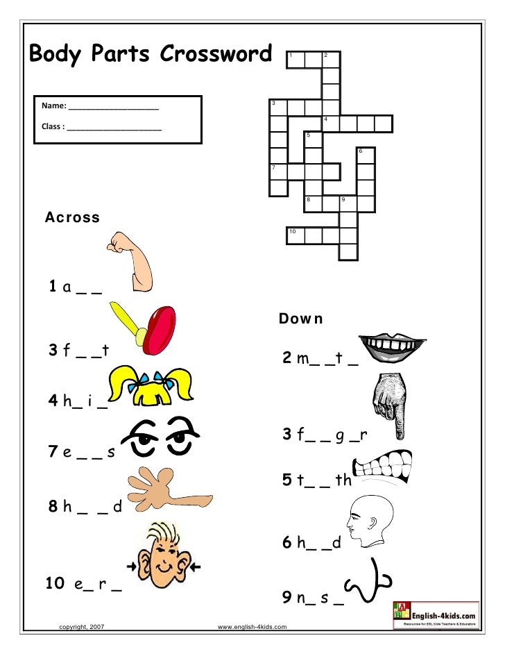 body parts crossword