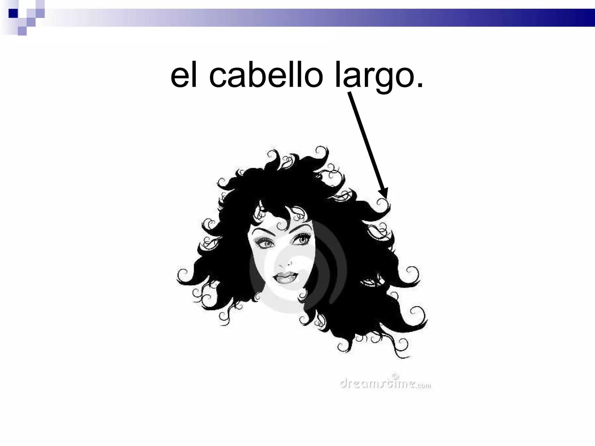 el cabello largo.