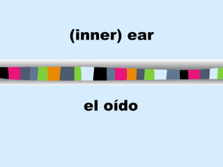 Ear In Spanish Body parts flashcards | PPT