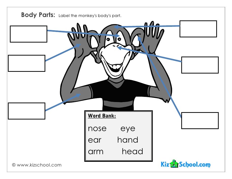 download visual basic design patterns vb 6 0 and vb net