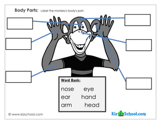Body Parts:   Label the monkey's body's part.




                               Word Bank:

                               nose           eye
                               ear           hand
                               arm            head
© www.kizschool.com
 