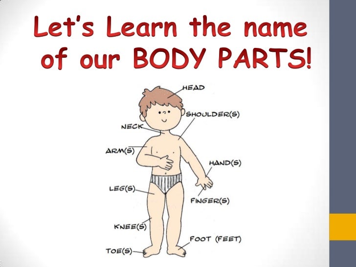 Resultado de imagen de vocabulary parts of the body