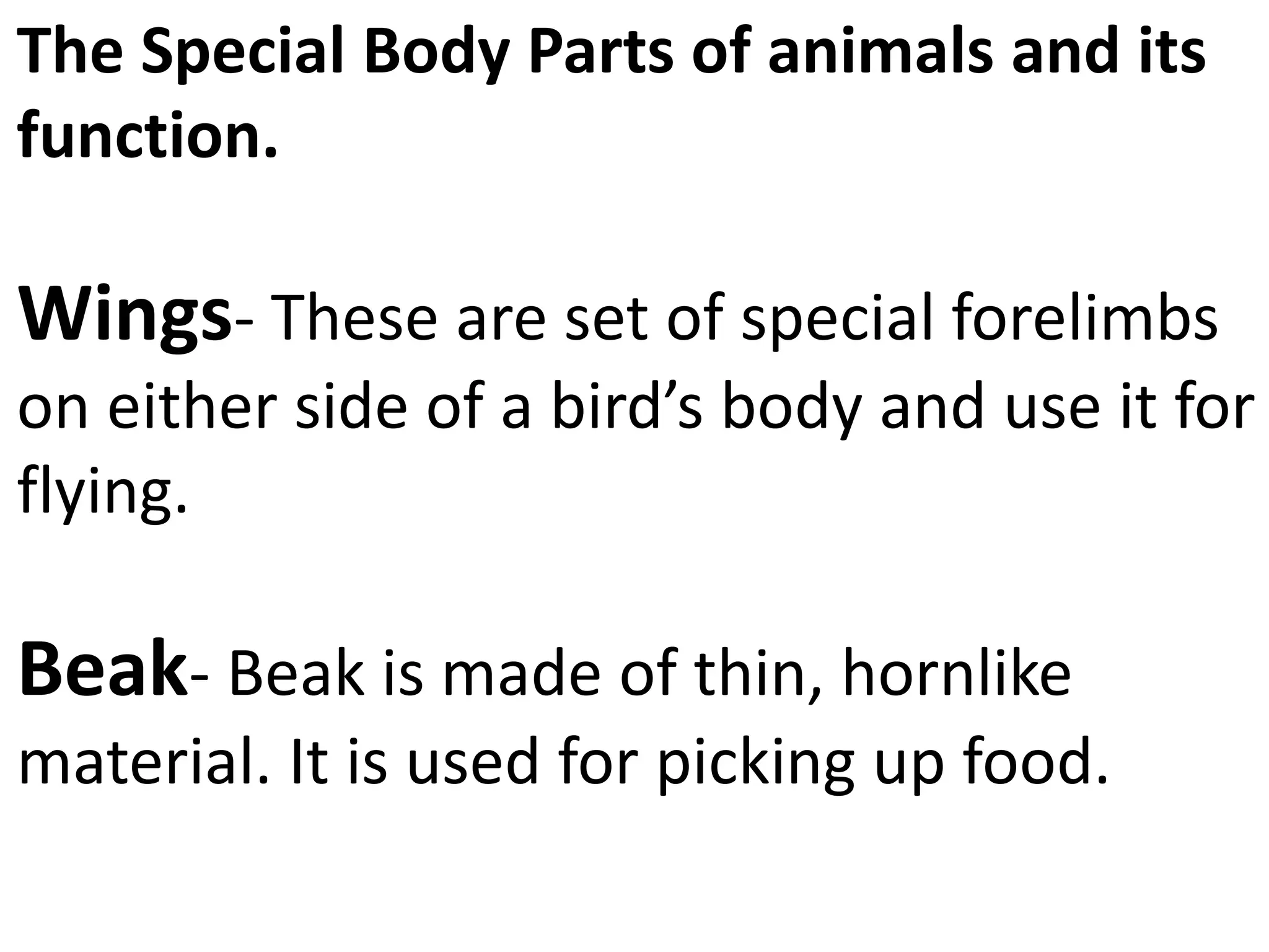body parts of animals.pptx scielce lesson for grade 3 | PPTX
