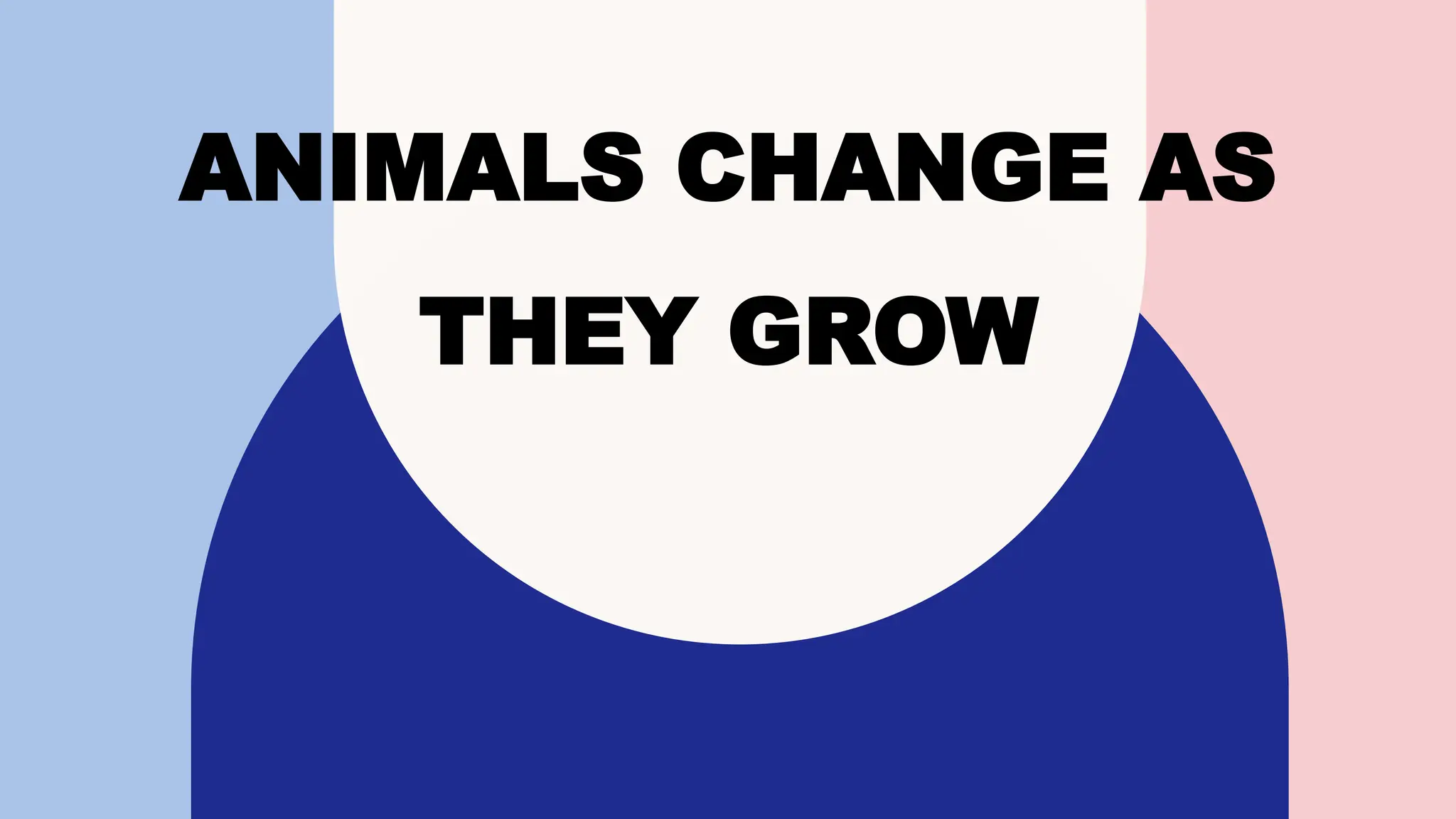 Body Parts of Animals and their Functions.pptx